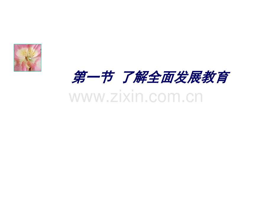 幼儿园全面发展教育.pptx_第2页