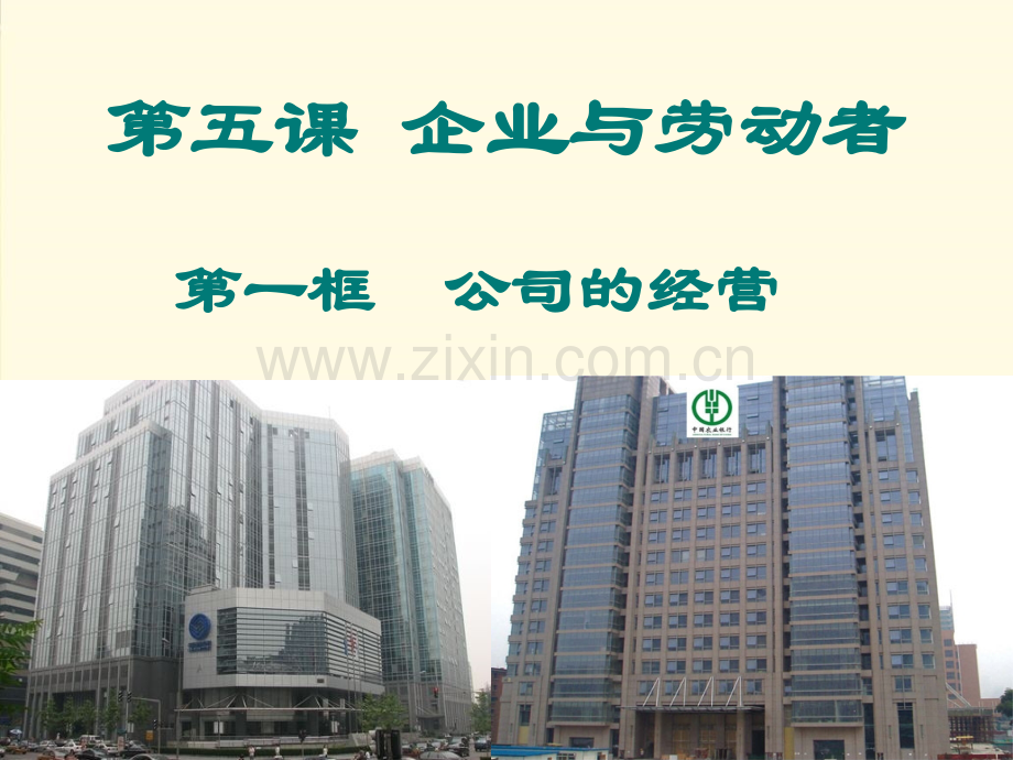 公司的类型含企业定义.pptx_第1页