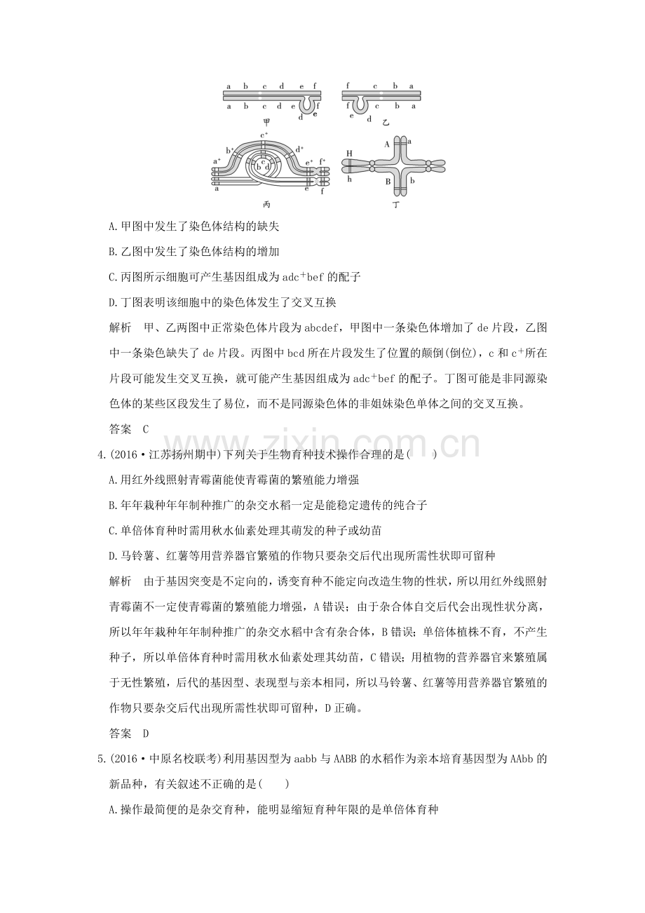 创新设计2017高考生物一轮复习考点加强课4限时训练提升考能生物变异的比较及育种方案选择模板.doc_第2页