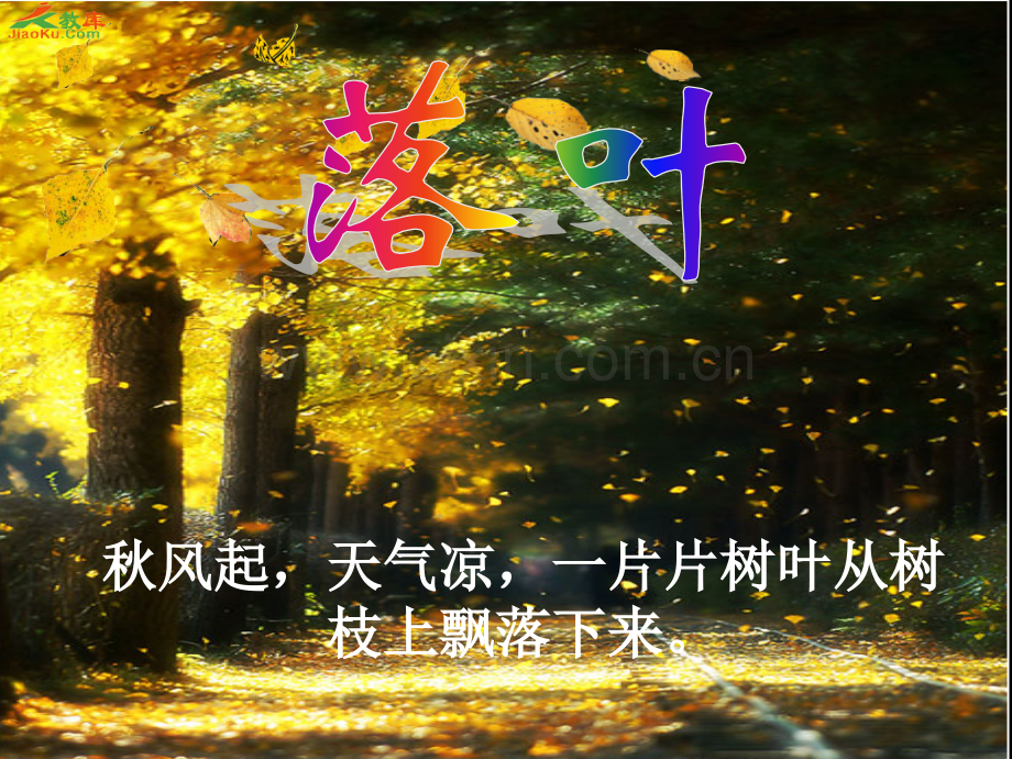 大班语言散文落叶.pptx_第1页