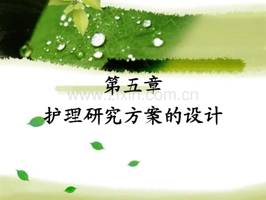 护理研究方案的设计.pptx_第1页