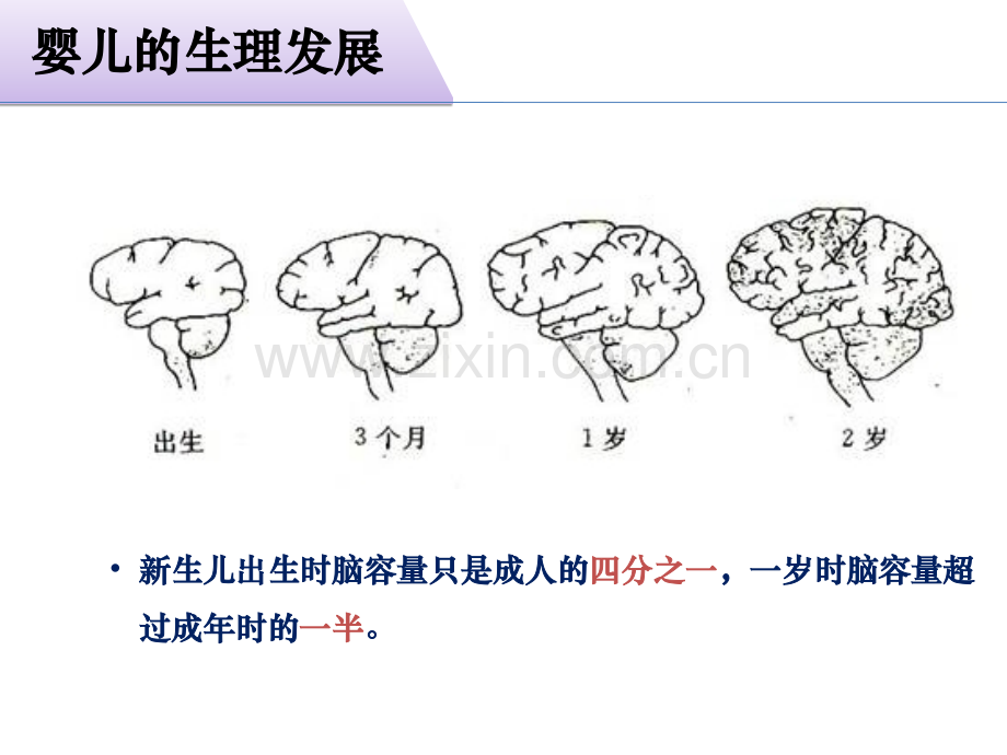 六婴儿行为与社会环境.pptx_第2页