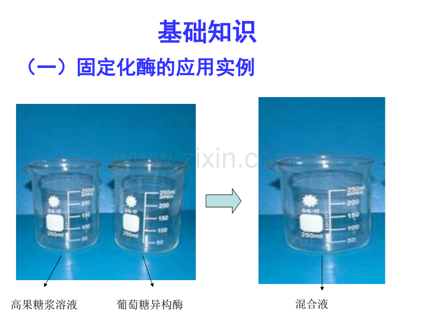 固定化酵母细胞方案.pptx_第1页