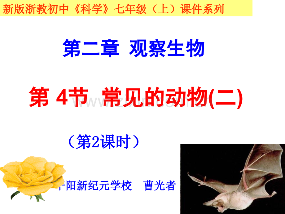 常见的动物二.pptx_第1页