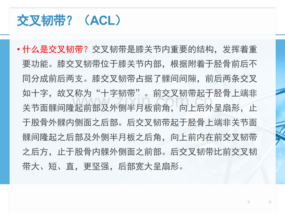 关节镜下前交叉韧的手术配合.pptx_第2页
