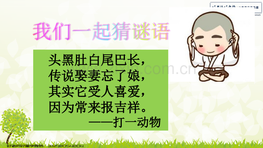 枫树上的喜鹊.pptx_第1页