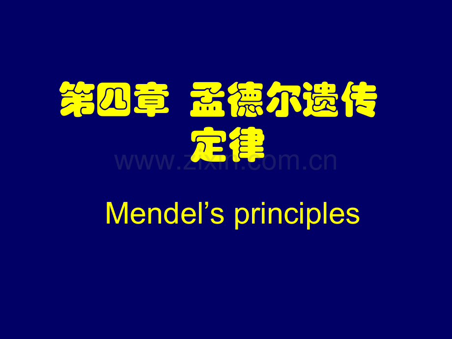 孟德尔遗传定律.pptx_第1页