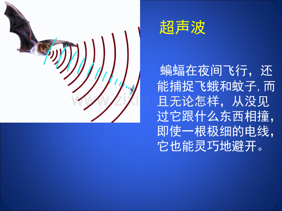 声现象在科技中的应用课件.pptx_第2页