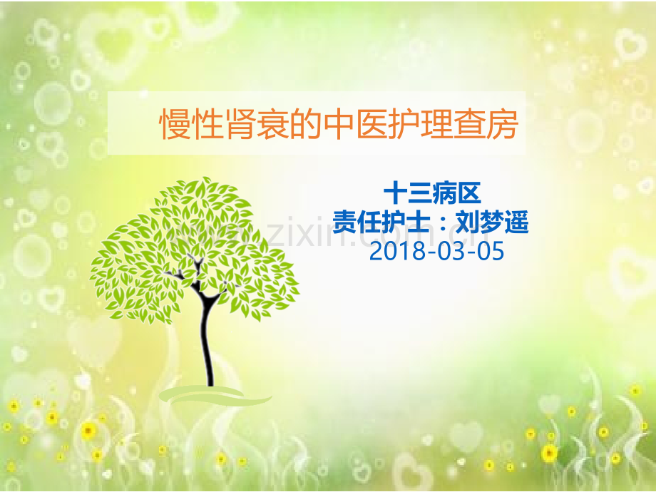 慢性肾衰中医护理查房.pptx_第1页