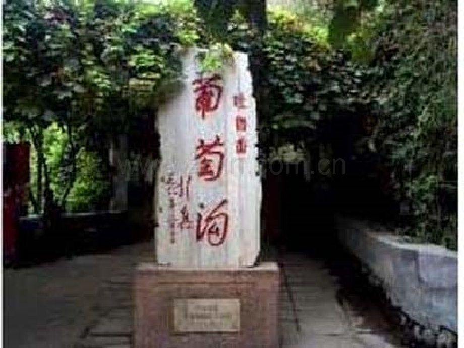 小学语文葡萄沟.pptx_第2页