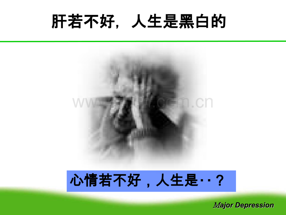 常见的身心科疾病.pptx_第2页