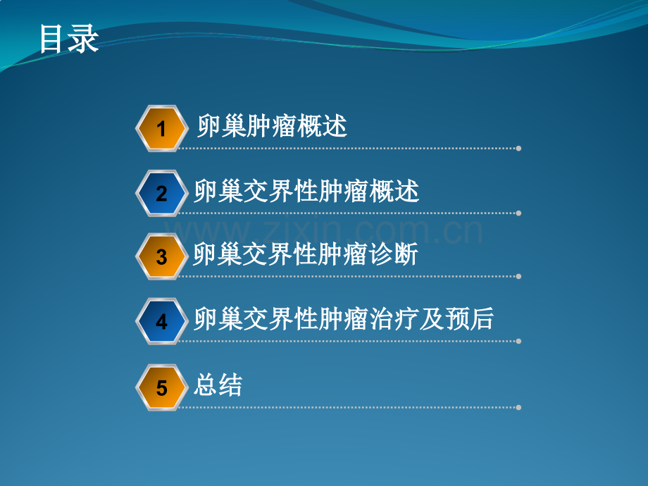 卵巢交界性肿瘤诊治进展.pptx_第2页