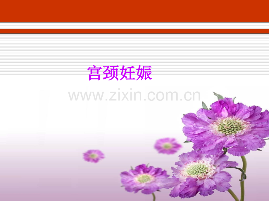 宫颈妊娠.pptx_第1页