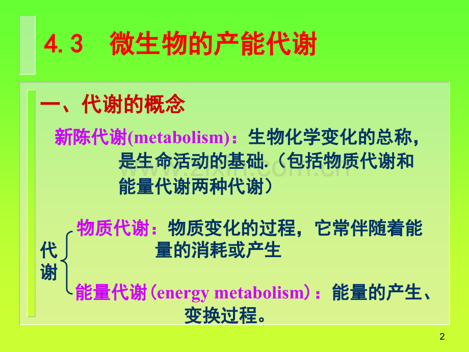 微生物生理代谢印.pptx_第2页