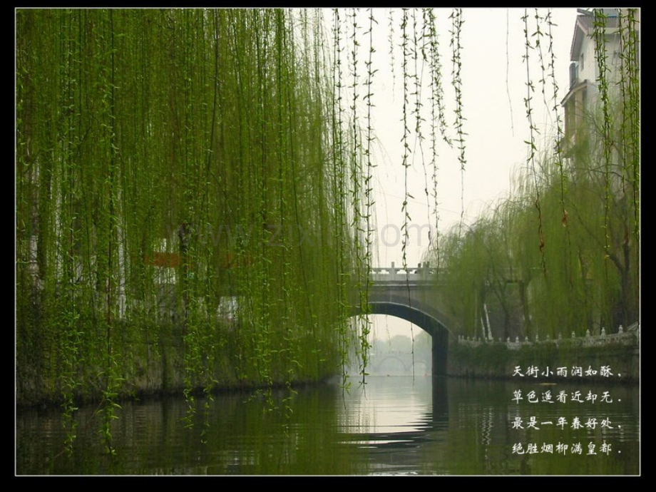 大自然的语言人教版八年级上册.pptx_第1页