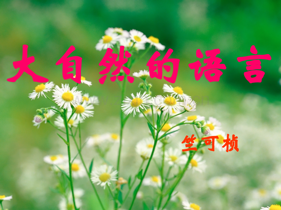 初中大自然的语言.pptx_第1页
