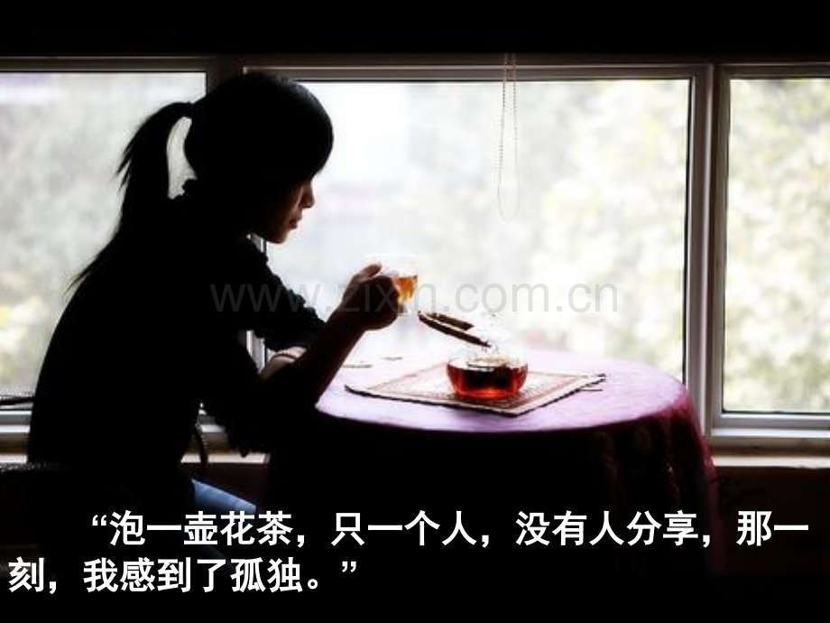 孤独之旅--公开课-优秀.pptx_第2页