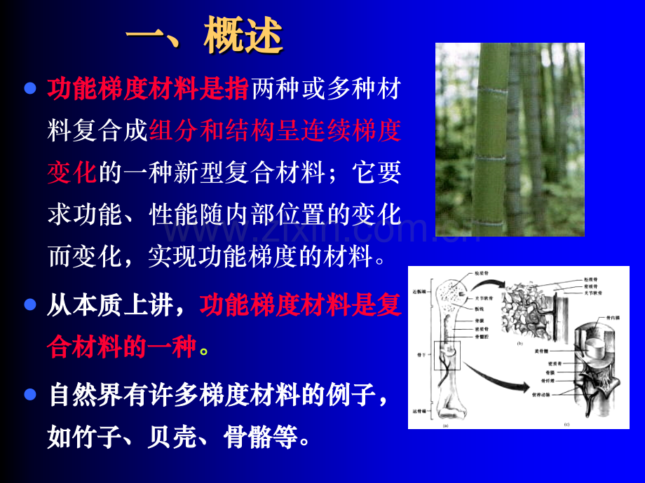 功能梯度材料.pptx_第2页