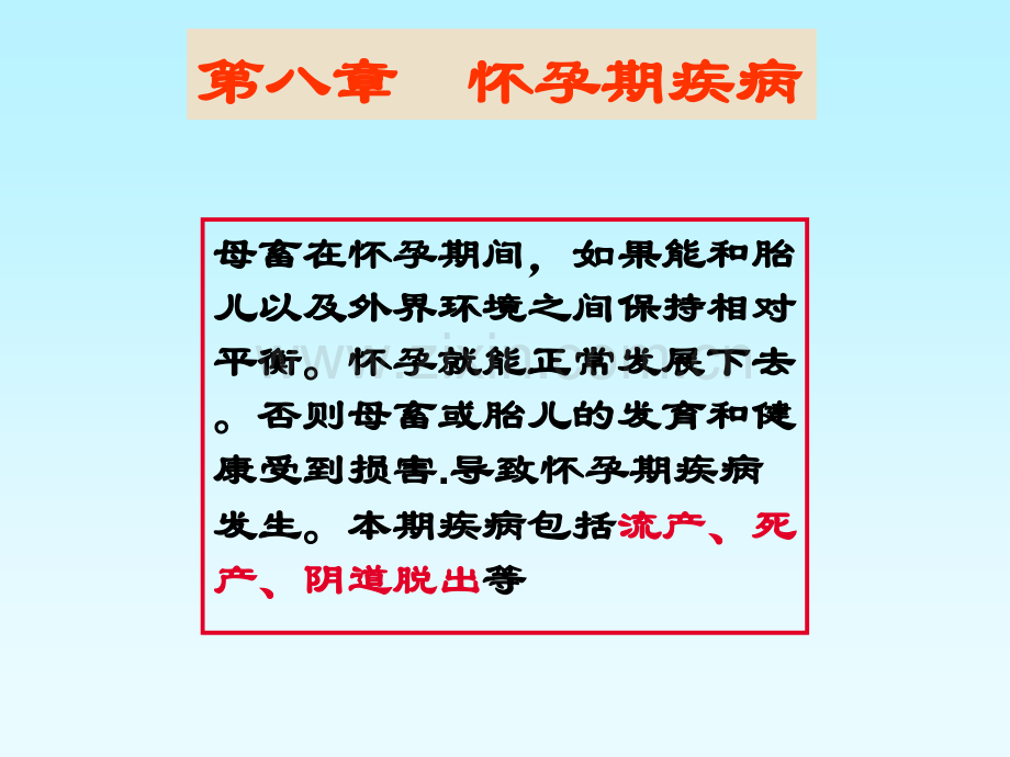 动物怀孕期疾病及治疗.pptx_第1页