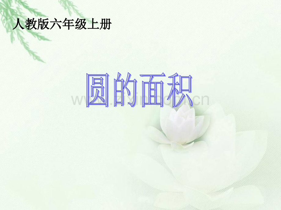 圆的面积上课版.pptx_第1页