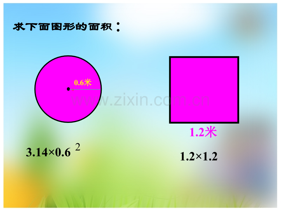 圆的面积61淦秀娟.pptx_第2页