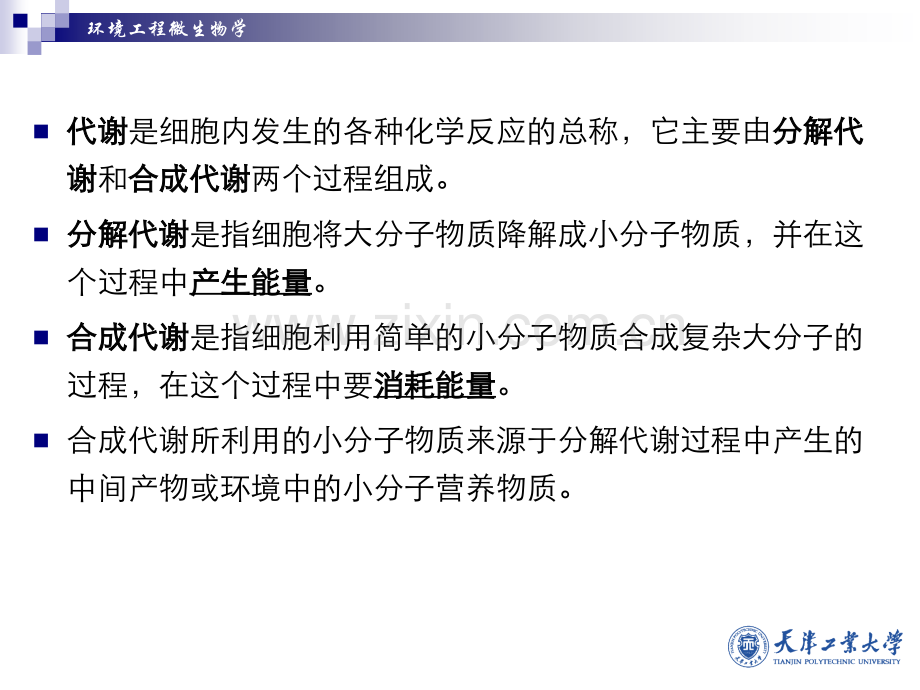 微生物的生理3.pptx_第2页
