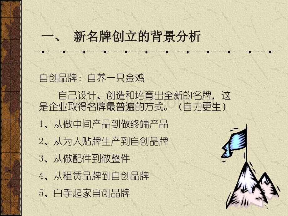 新品牌的策略.pptx_第2页