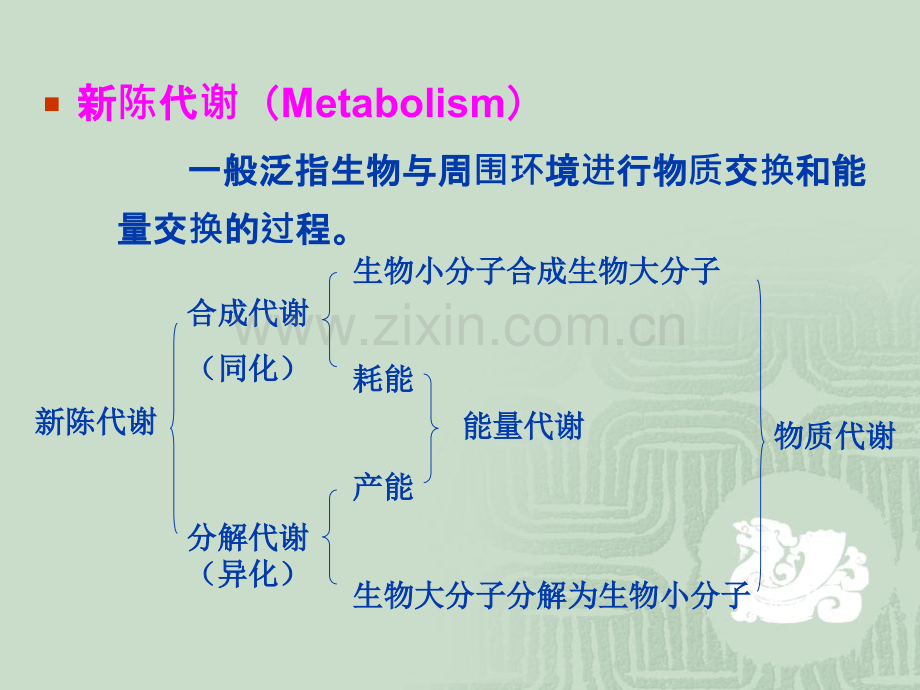 微生物的代谢精美.pptx_第2页