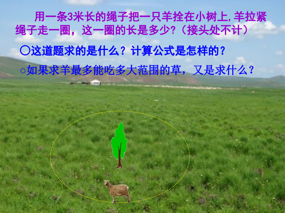 圆的面积课件ABC教育网.pptx_第2页
