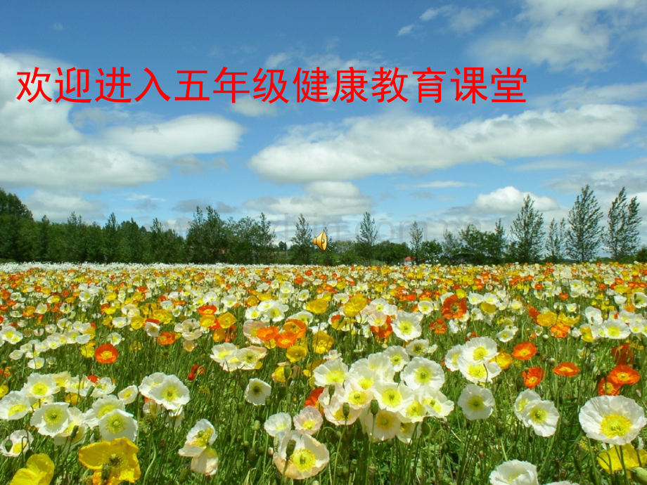 小学五年级健康教育课青春发育期的生理变化PPT课件.pptx_第1页