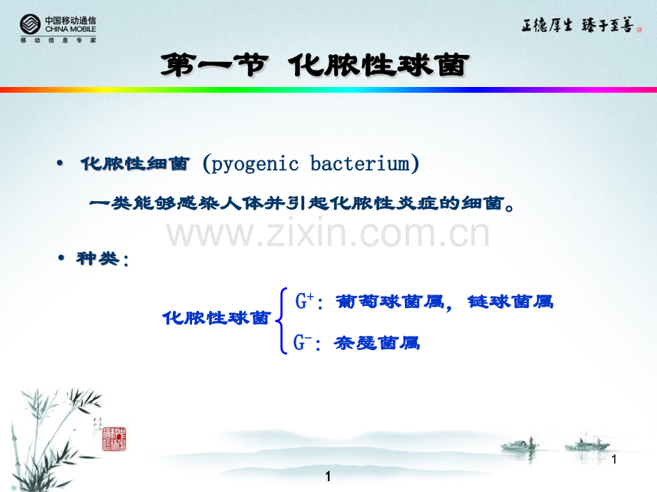 卫校讲稿.pptx_第1页