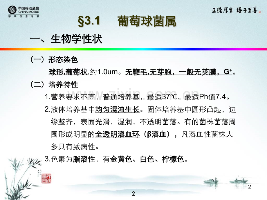 卫校讲稿.pptx_第2页