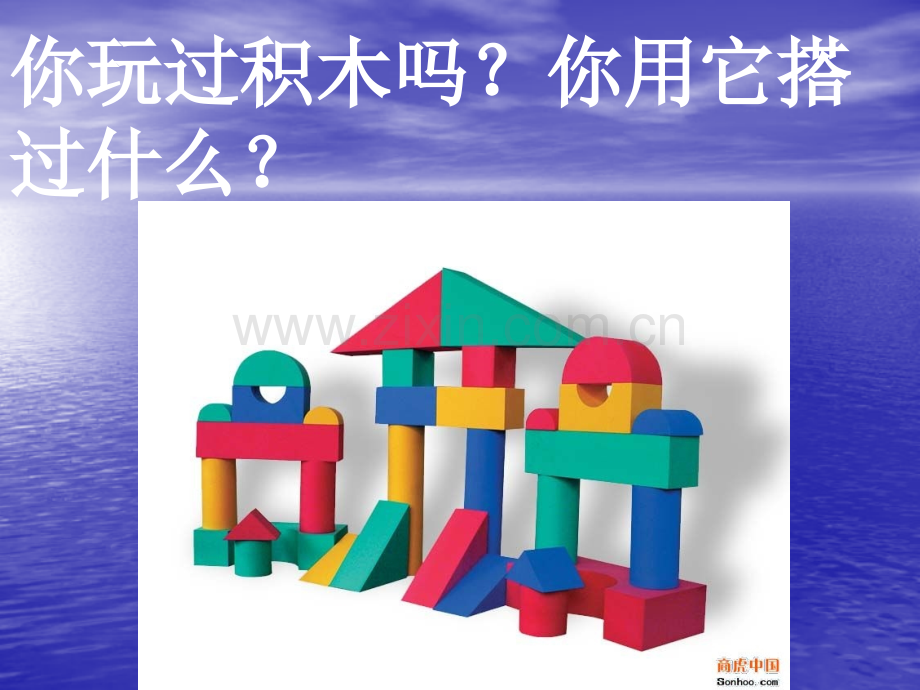 搭建生命体的积木.pptx_第1页