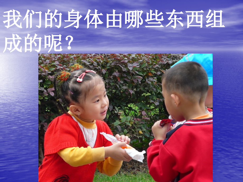 搭建生命体的积木.pptx_第2页