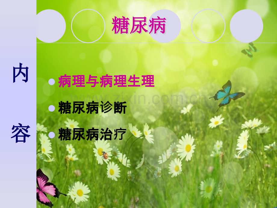 护理培训糖尿病概论.pptx_第2页