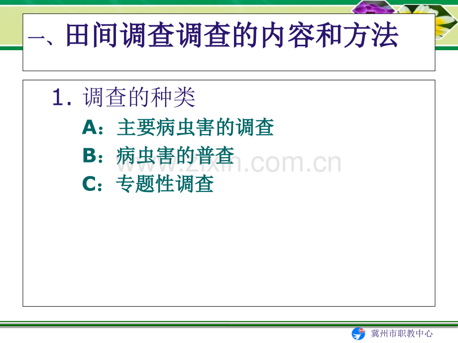 果蔬花卉专业.pptx_第2页