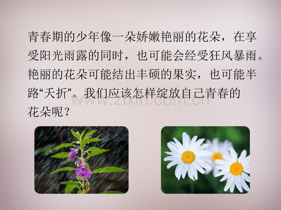 八年级生物上册走向成熟2新版济南版.pptx_第2页