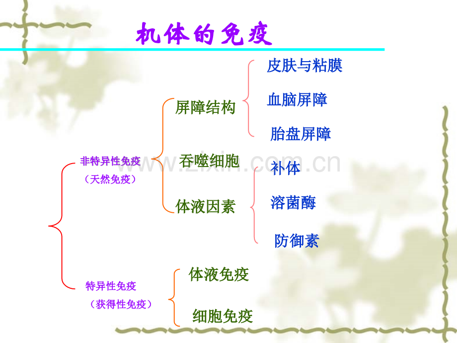 微生物学(药学专业)非特异性免疫.pptx_第1页