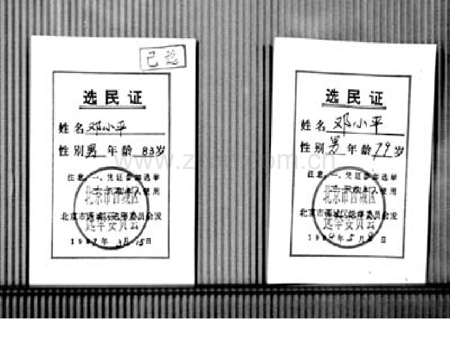 文科21民主选举投出理性的一票恢复.pptx_第2页