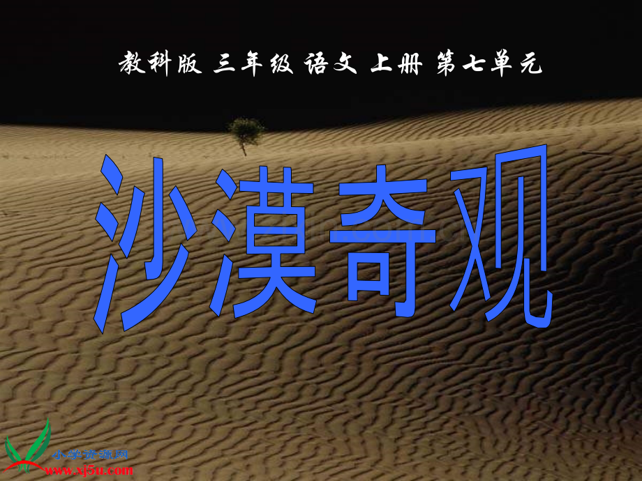 教科版三级语文上册沙漠奇观.pptx_第1页