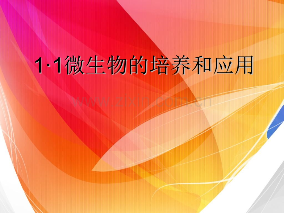 微生物的培养和应用.pptx_第1页