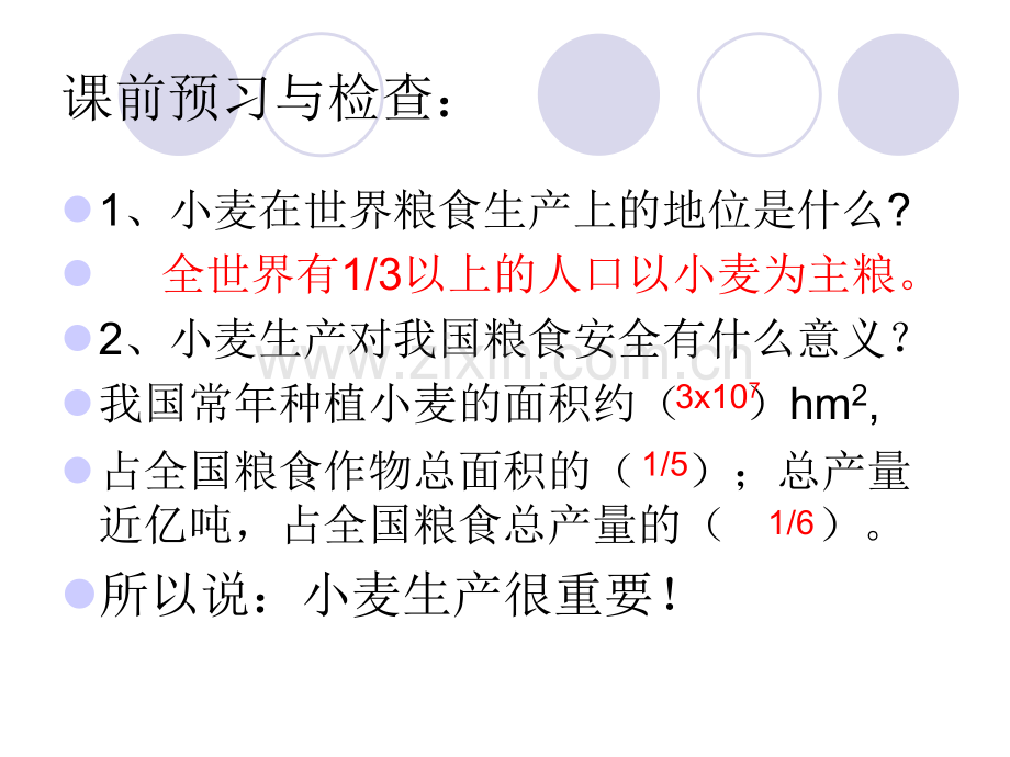 小麦的一生.pptx_第2页