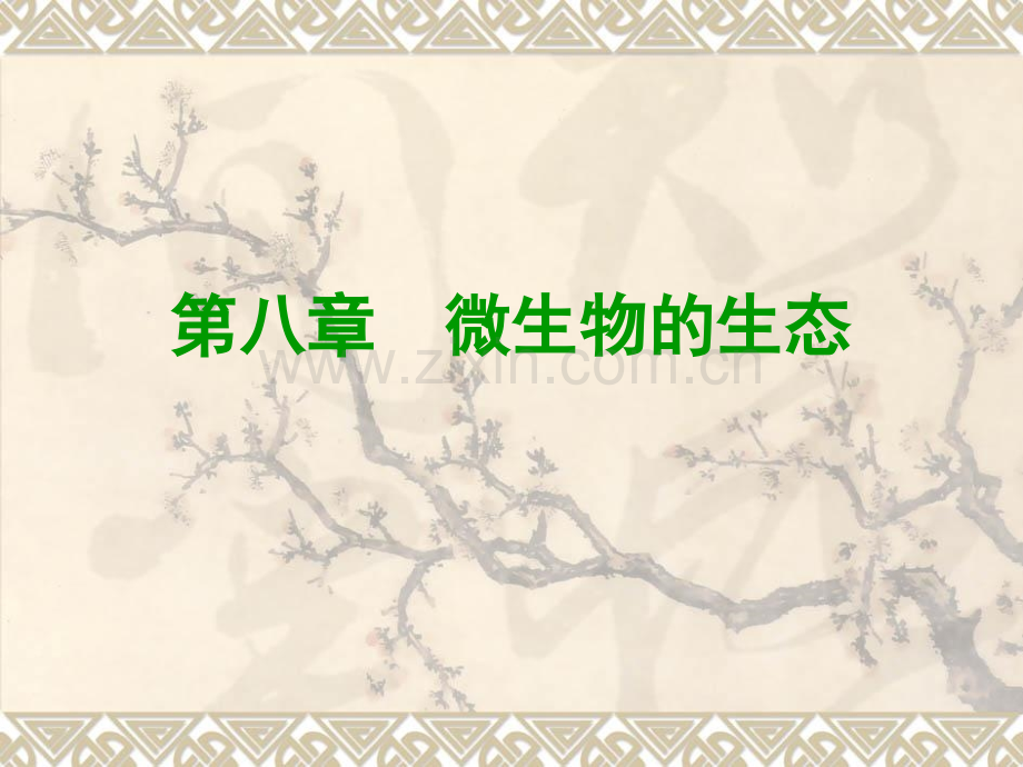 微生物学生态.pptx_第1页