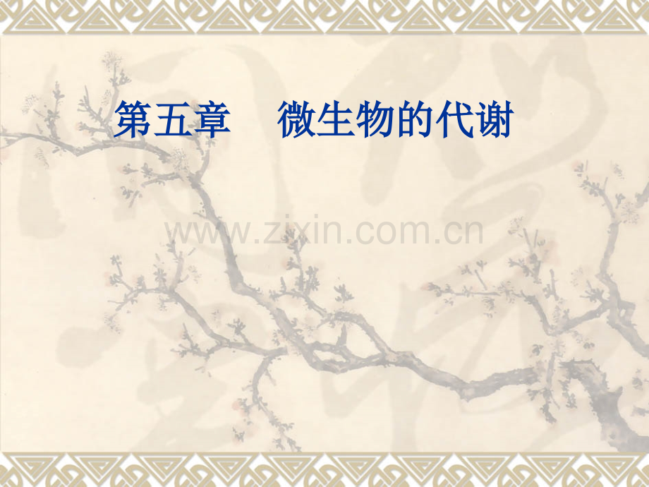 微生物的代谢A.pptx_第1页