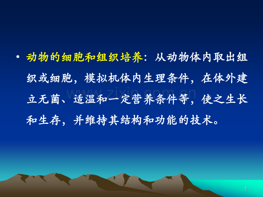 动物细胞培养HXY.pptx_第1页