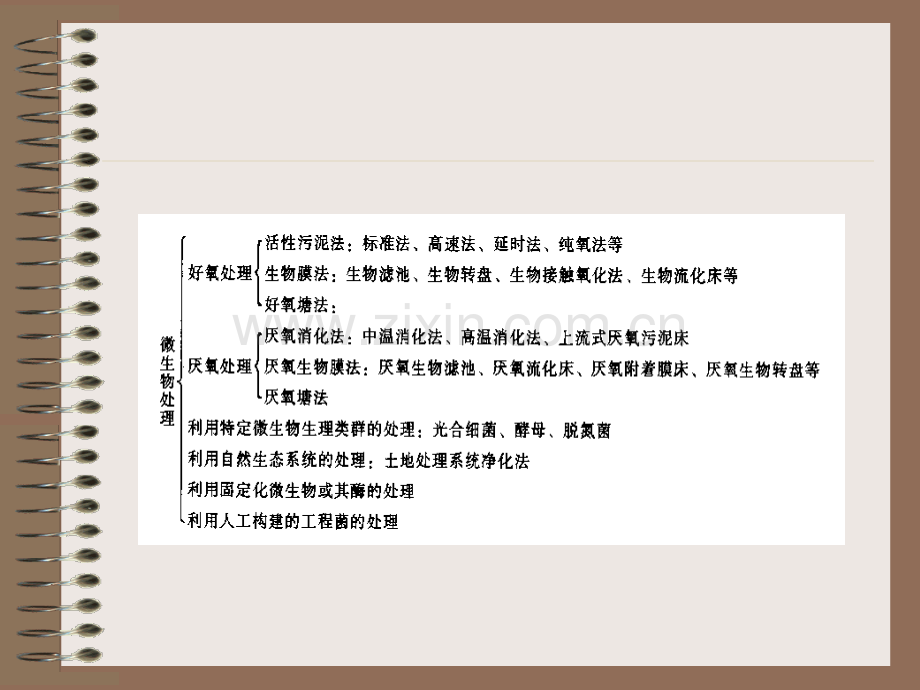 微生物处理废水原理及应用.pptx_第1页