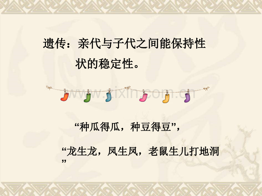 孟德尔的豌豆杂交实验1.pptx_第1页