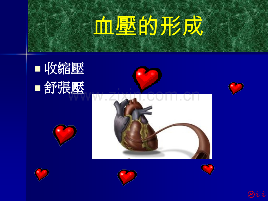 内科学概论心脏血管内科.pptx_第2页