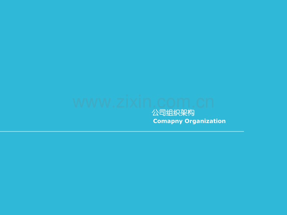 公司组织架构及职能.pptx_第1页