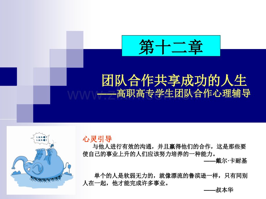 团队合作共享成功的人生.pptx_第1页